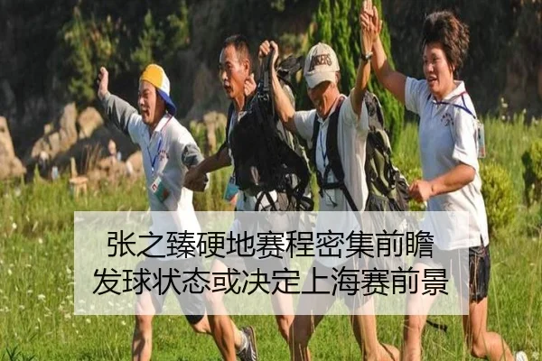 张之臻硬地赛程密集前瞻 发球状态或决定上海赛前景